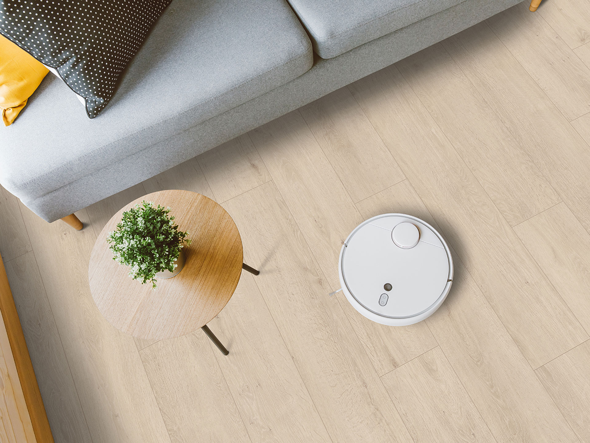 Con-muchas-tablas_coleccion-Classen-Tradition-65365-Murcia-Oak